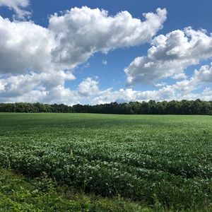 Meet your Posher, Luke